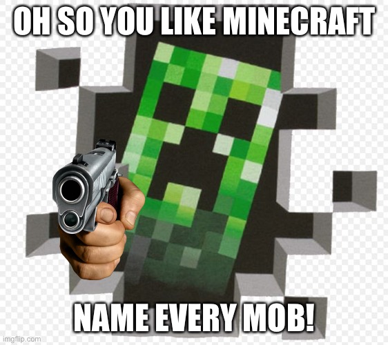 I cant wait to see the comments | OH SO YOU LIKE MINECRAFT; NAME EVERY MOB! | image tagged in minecraft creeper | made w/ Imgflip meme maker