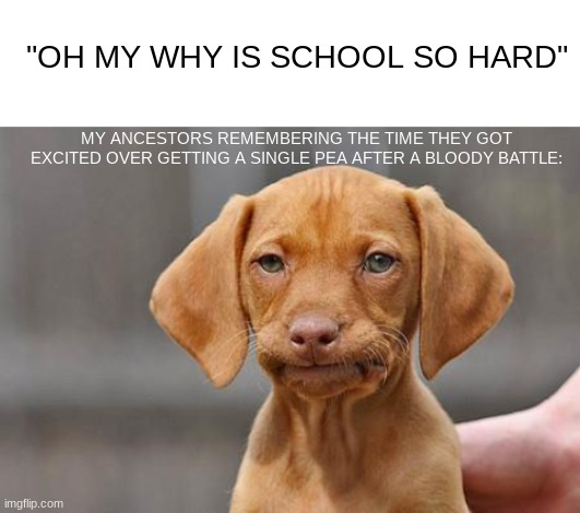  "OH MY WHY IS SCHOOL SO HARD"; MY ANCESTORS REMEMBERING THE TIME THEY GOT EXCITED OVER GETTING A SINGLE PEA AFTER A BLOODY BATTLE: | image tagged in blank white template,dissapointed puppy | made w/ Imgflip meme maker