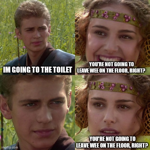 Dont you hate this? | IM GOING TO THE TOILET; YOU'RE NOT GOING TO LEAVE WEE ON THE FLOOR, RIGHT? YOU'RE NOT GOING TO LEAVE WEE ON THE FLOOR, RIGHT? | image tagged in anakin padme 4 panel | made w/ Imgflip meme maker