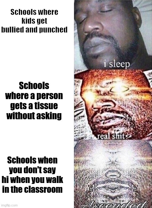 Memes | Schools where kids get bullied and punched; Schools where a person gets a tissue without asking; Schools when you don't say hi when you walk in the classroom | image tagged in shaq meme | made w/ Imgflip meme maker
