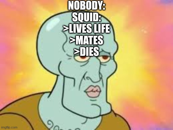 they die chads :salute: | NOBODY:
SQUID:
>LIVES LIFE
>MATES
>DIES | made w/ Imgflip meme maker