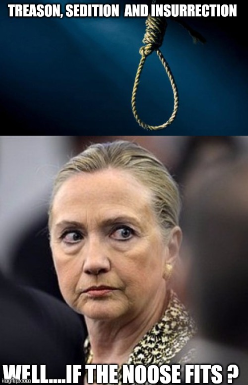 TREASON, SEDITION  AND INSURRECTION; WELL....IF THE NOOSE FITS ? | image tagged in noose,upset hillary | made w/ Imgflip meme maker