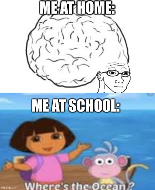 Me at home and school | ME AT HOME:; ME AT SCHOOL: | image tagged in funny memes | made w/ Imgflip meme maker