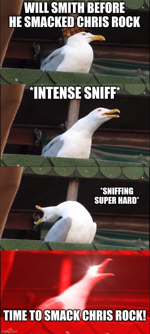 wassup |  WILL SMITH BEFORE HE SMACKED CHRIS ROCK; *INTENSE SNIFF*; *SNIFFING SUPER HARD*; TIME TO SMACK CHRIS ROCK! | image tagged in memes,inhaling seagull | made w/ Imgflip meme maker
