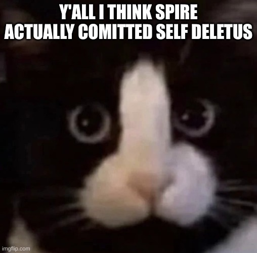 dick cat | Y'ALL I THINK SPIRE ACTUALLY COMITTED SELF DELETUS | image tagged in dick cat | made w/ Imgflip meme maker