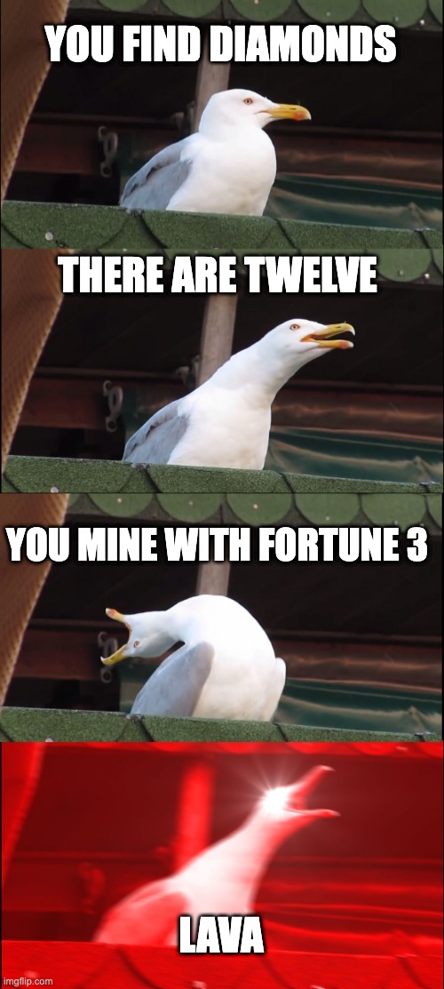 We all know this one. | YOU FIND DIAMONDS; THERE ARE TWELVE; YOU MINE WITH FORTUNE 3; LAVA | image tagged in memes,inhaling seagull,minecraft memes | made w/ Imgflip meme maker