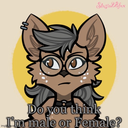 Like what do you guys think I am? | Do you think I’m male or Female? | made w/ Imgflip meme maker