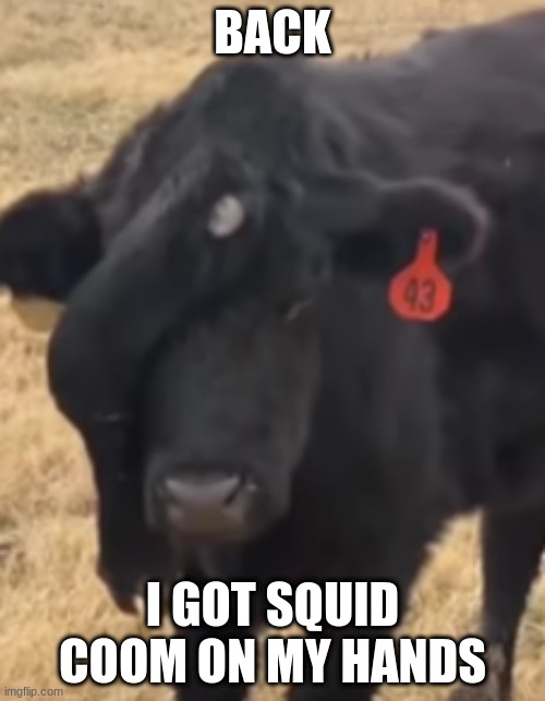 cow with an extra leg on it's forehead | BACK; I GOT SQUID COOM ON MY HANDS | image tagged in cow with an extra leg on it's forehead | made w/ Imgflip meme maker