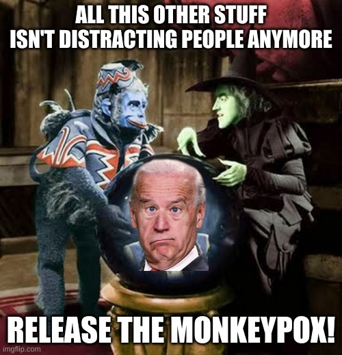 Release the Monkey pox! | ALL THIS OTHER STUFF ISN'T DISTRACTING PEOPLE ANYMORE; RELEASE THE MONKEYPOX! | image tagged in joe biden,democrats,political memes,political humor,monkey pox,government corruption | made w/ Imgflip meme maker