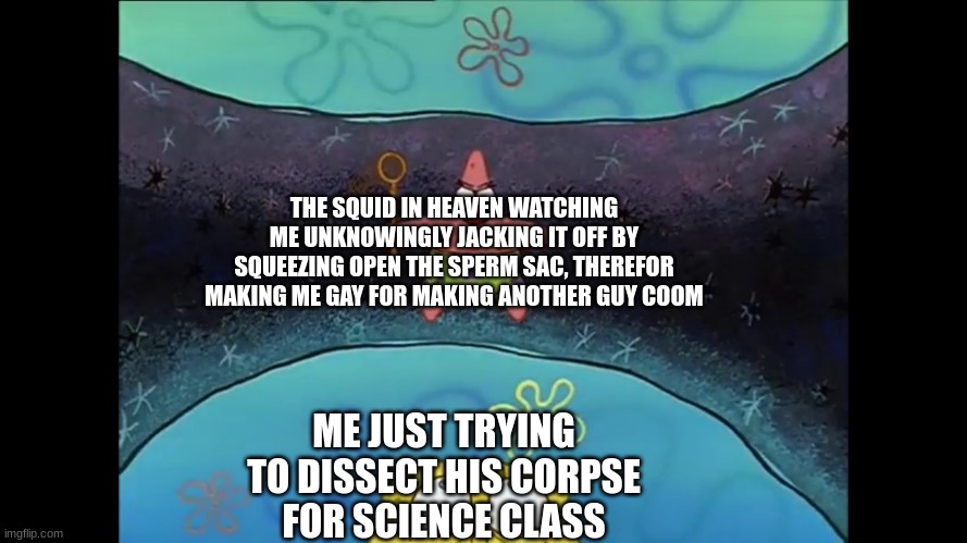 what have i become | THE SQUID IN HEAVEN WATCHING ME UNKNOWINGLY JACKING IT OFF BY SQUEEZING OPEN THE SPERM SAC, THEREFOR MAKING ME GAY FOR MAKING ANOTHER GUY COOM; ME JUST TRYING TO DISSECT HIS CORPSE FOR SCIENCE CLASS | made w/ Imgflip meme maker