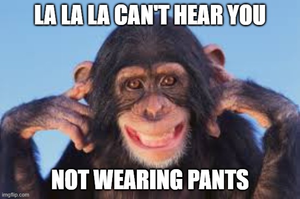 LA LA LA CAN'T HEAR YOU; NOT WEARING PANTS | image tagged in monkey | made w/ Imgflip meme maker