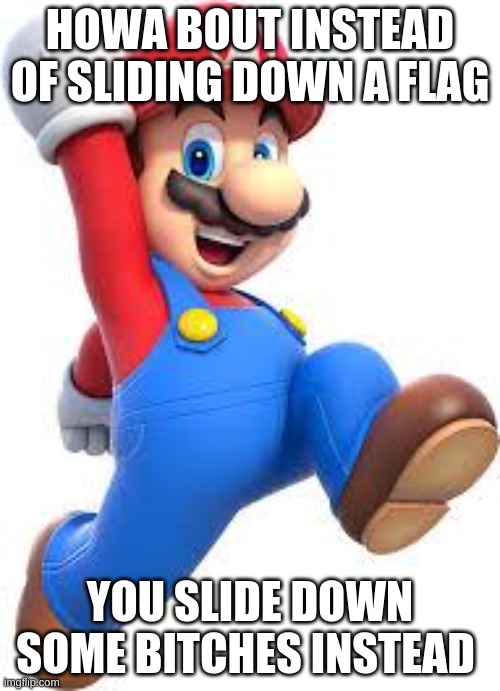 mario | HOWA BOUT INSTEAD OF SLIDING DOWN A FLAG; YOU SLIDE DOWN SOME BITCHES INSTEAD | image tagged in mario | made w/ Imgflip meme maker