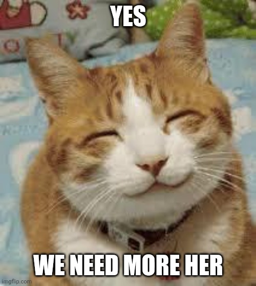 Happy cat | YES WE NEED MORE HER | image tagged in happy cat | made w/ Imgflip meme maker