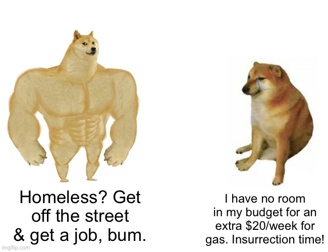 Things that make you go hmmm |  Homeless? Get off the street & get a job, bum. I have no room in my budget for an extra $20/week for gas. Insurrection time! | image tagged in memes,buff doge vs cheems | made w/ Imgflip meme maker
