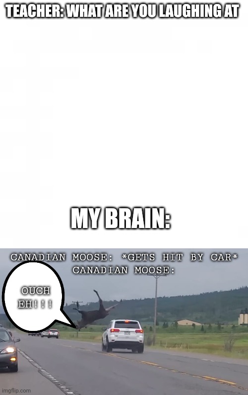 Lol | TEACHER: WHAT ARE YOU LAUGHING AT; MY BRAIN:; CANADIAN MOOSE: *GETS HIT BY CAR* 
CANADIAN MOOSE:; OUCH EH!!! | image tagged in teacher what are you laughing at,memes | made w/ Imgflip meme maker