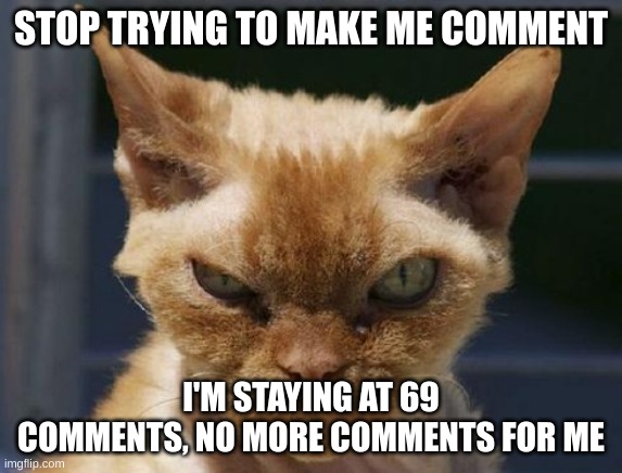 Relatable |  STOP TRYING TO MAKE ME COMMENT; I'M STAYING AT 69 COMMENTS, NO MORE COMMENTS FOR ME | image tagged in mad cat,stop,you have been eternally cursed for reading the tags | made w/ Imgflip meme maker