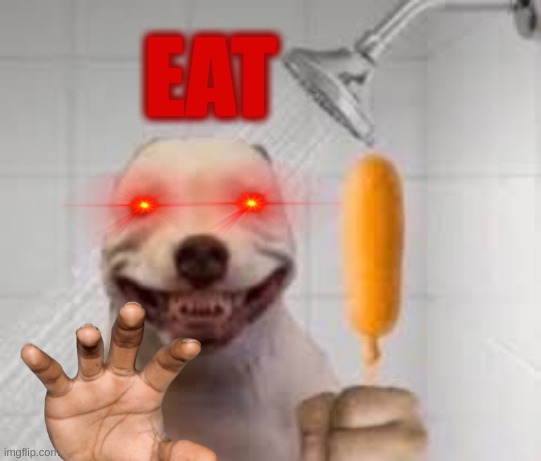 This is why you should feel unsafe | EAT | image tagged in dog,funny,scary,shower,corndog | made w/ Imgflip meme maker