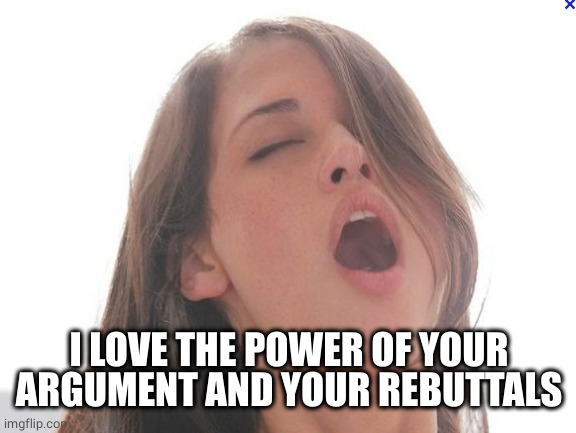Orgasm face | I LOVE THE POWER OF YOUR ARGUMENT AND YOUR REBUTTALS | image tagged in orgasm face | made w/ Imgflip meme maker