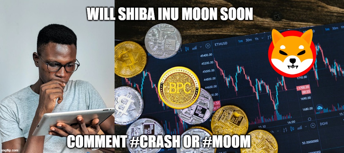 WILL SHIBA INU MOON SOON; COMMENT #CRASH OR #MOOM | made w/ Imgflip meme maker