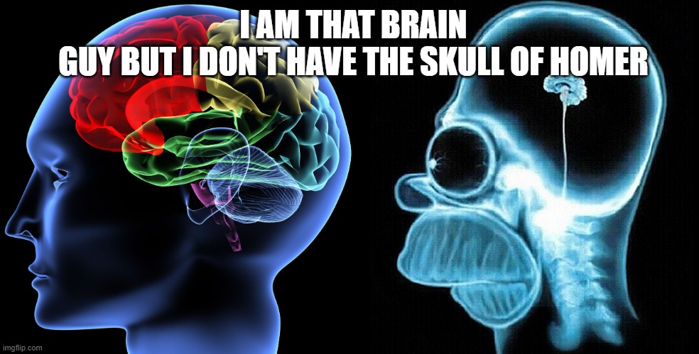 Brain homer | I AM THAT BRAIN GUY BUT I DON'T HAVE THE SKULL OF HOMER | image tagged in brain versus homer brain | made w/ Imgflip meme maker