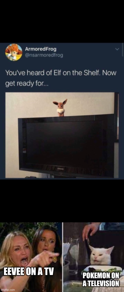 EEVEE ON A TV; POKEMON ON A TELEVISION | image tagged in woman yelling at cat | made w/ Imgflip meme maker