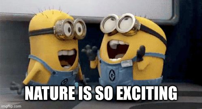 Excited Minions Meme | NATURE IS SO EXCITING | image tagged in memes,excited minions | made w/ Imgflip meme maker