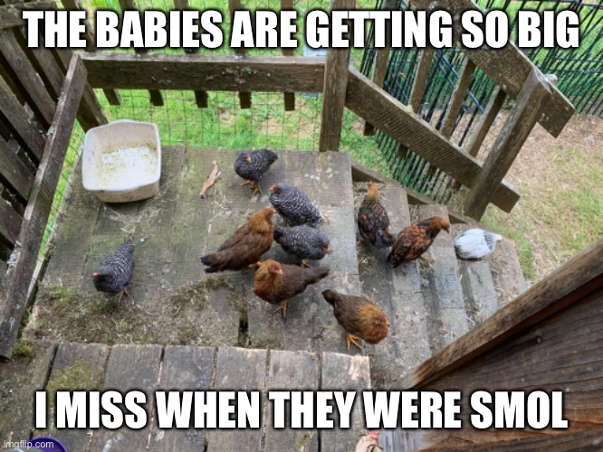 I sad now | THE BABIES ARE GETTING SO BIG; I MISS WHEN THEY WERE SMOL | made w/ Imgflip meme maker