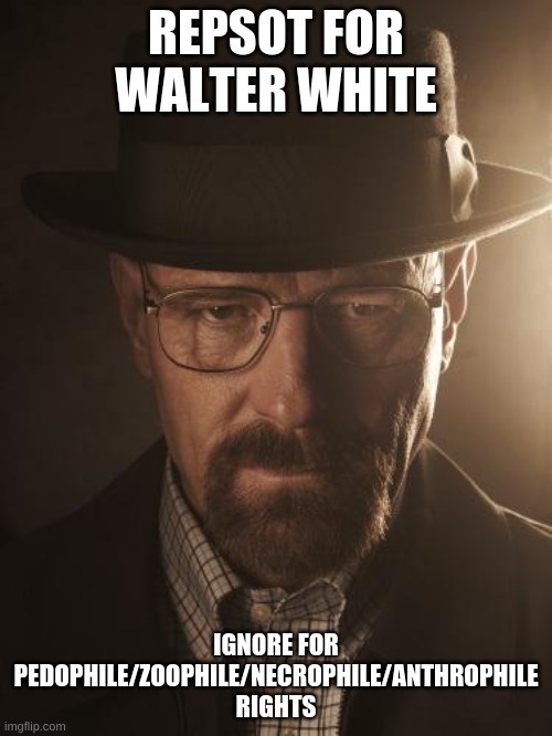 Walter White | REPSOT FOR WALTER WHITE; IGNORE FOR PEDOPHILE/ZOOPHILE/NECROPHILE/ANTHROPHILE RIGHTS | image tagged in walter white | made w/ Imgflip meme maker