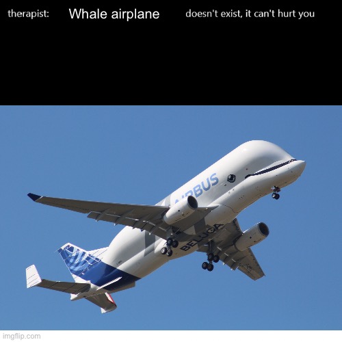 Whale airplane | image tagged in airbus beluga,memes,why are you reading this | made w/ Imgflip meme maker