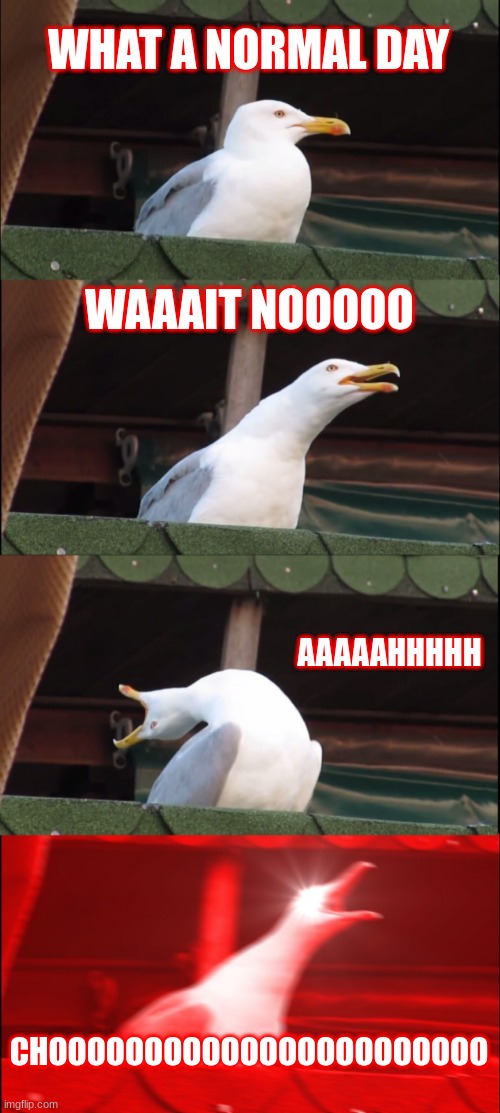 Inhaling Seagull |  WHAT A NORMAL DAY; WAAAIT NOOOOO; AAAAAHHHHH; CHOOOOOOOOOOOOOOOOOOOOOOO | image tagged in memes,inhaling seagull | made w/ Imgflip meme maker
