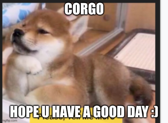 corgo | CORGO; HOPE U HAVE A GOOD DAY :) | image tagged in doge | made w/ Imgflip meme maker