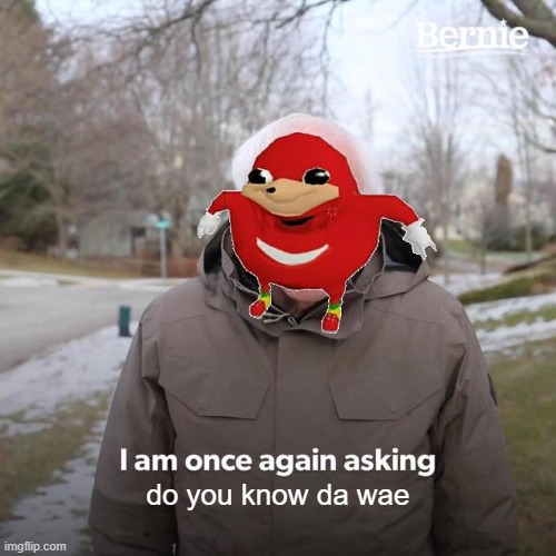 Bernie I Am Once Again Asking For Your Support |  do you know da wae | image tagged in memes,bernie i am once again asking for your support | made w/ Imgflip meme maker