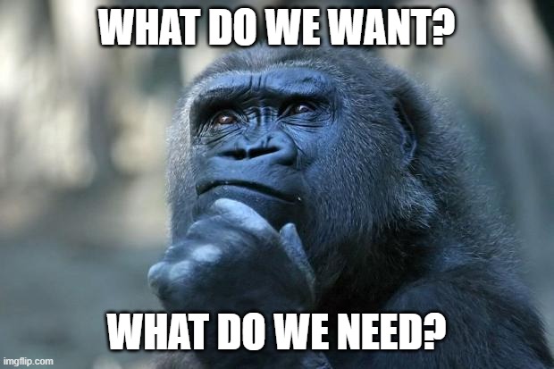 What do we need? | WHAT DO WE WANT? WHAT DO WE NEED? | image tagged in deep thoughts | made w/ Imgflip meme maker