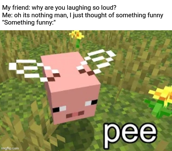 Who else saw this video? | My friend: why are you laughing so loud?
Me: oh its nothing man, I just thought of something funny
"Something funny:" | image tagged in memes,funny,minecraft | made w/ Imgflip meme maker