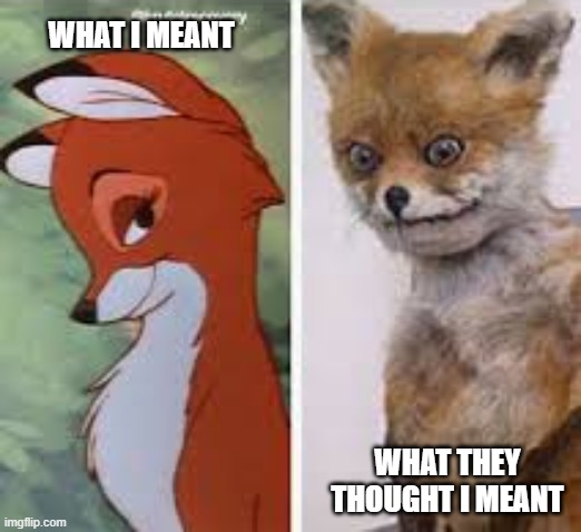 Prejudice | WHAT I MEANT; WHAT THEY THOUGHT I MEANT | image tagged in what i look like fox vs blank | made w/ Imgflip meme maker