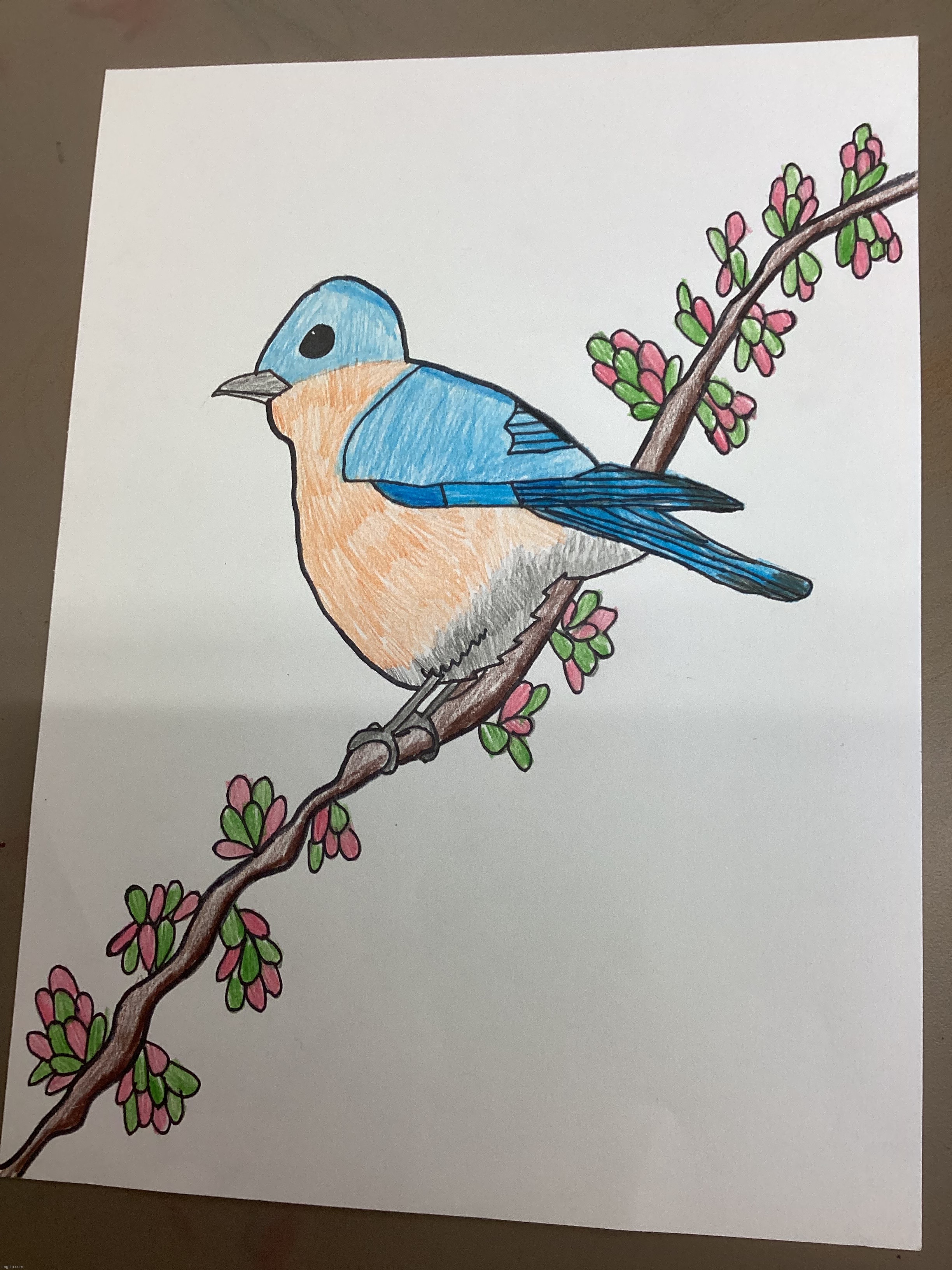 If anyone remembers the rough draft bluebird I did in art class a couple days ago here’s my final copy | made w/ Imgflip meme maker