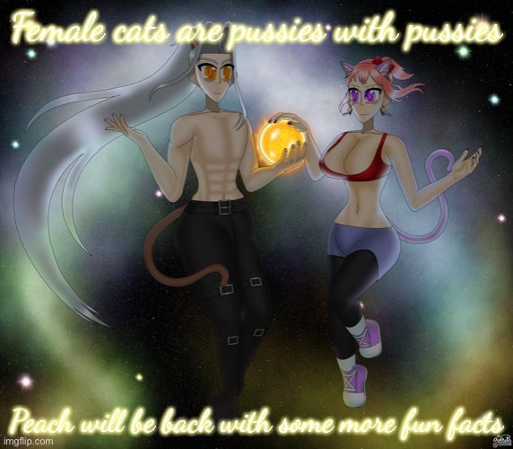 Sayori and Sephiroth | Female cats are pussies with pussies; Peach will be back with some more fun facts | image tagged in sayori and sephiroth | made w/ Imgflip meme maker