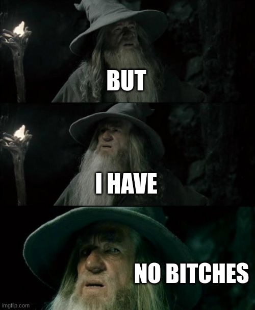 Confused Gandalf Meme | BUT I HAVE NO BITCHES | image tagged in memes,confused gandalf | made w/ Imgflip meme maker