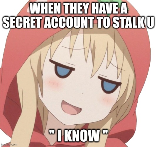when you know, you know |  WHEN THEY HAVE A SECRET ACCOUNT TO STALK U; " I KNOW " | image tagged in smirk | made w/ Imgflip meme maker