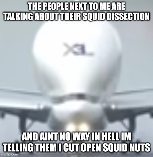 BIG BRAIN PLANE | THE PEOPLE NEXT TO ME ARE TALKING ABOUT THEIR SQUID DISSECTION; AND AINT NO WAY IN HELL IM TELLING THEM I CUT OPEN SQUID NUTS | image tagged in big brain plane | made w/ Imgflip meme maker