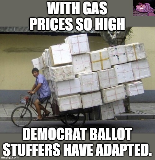 Modern problems require modern solutions. | WITH GAS PRICES SO HIGH; DEMOCRAT BALLOT STUFFERS HAVE ADAPTED. | image tagged in bike | made w/ Imgflip meme maker