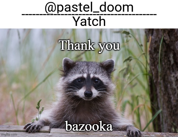 Yachi's raccoon temp (thank you Badoo) | Thank you; bazooka | image tagged in yachi's raccoon temp thank you badoo | made w/ Imgflip meme maker