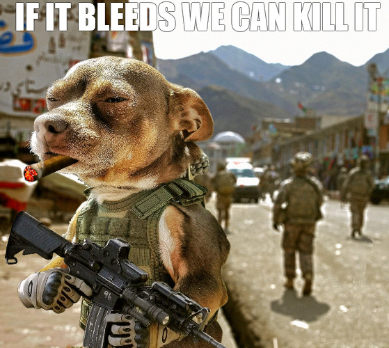 the hunt is on | IF IT BLEEDS WE CAN KILL IT | image tagged in army dog | made w/ Imgflip meme maker