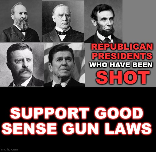 Reagan, Roosevelt and McKinley are looking at us | REPUBLICAN
PRESIDENTS; WHO HAVE BEEN; SHOT; SUPPORT GOOD SENSE GUN LAWS | image tagged in blank grey,blank black,guns,gun control,gop | made w/ Imgflip meme maker