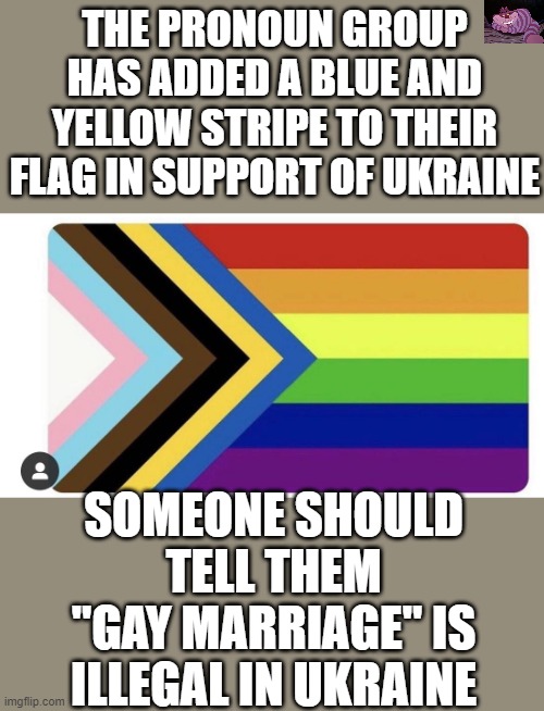 You just can't cure stupid. | THE PRONOUN GROUP HAS ADDED A BLUE AND YELLOW STRIPE TO THEIR FLAG IN SUPPORT OF UKRAINE; SOMEONE SHOULD TELL THEM "GAY MARRIAGE" IS ILLEGAL IN UKRAINE | made w/ Imgflip meme maker