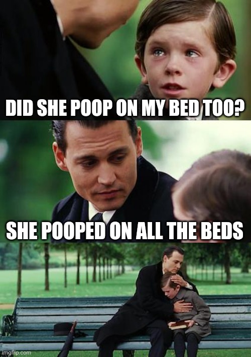 Finding Neverland | DID SHE POOP ON MY BED TOO? SHE POOPED ON ALL THE BEDS | image tagged in memes,finding neverland | made w/ Imgflip meme maker