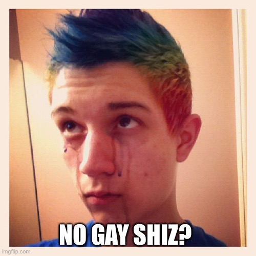 Sad gay guy | NO GAY SHIZ? | image tagged in sad gay guy | made w/ Imgflip meme maker