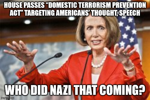 Democrats are going to take away your free speech. | HOUSE PASSES “DOMESTIC TERRORISM PREVENTION ACT” TARGETING AMERICANS’ THOUGHT, SPEECH; WHO DID NAZI THAT COMING? | image tagged in democrats,remove,free speech | made w/ Imgflip meme maker