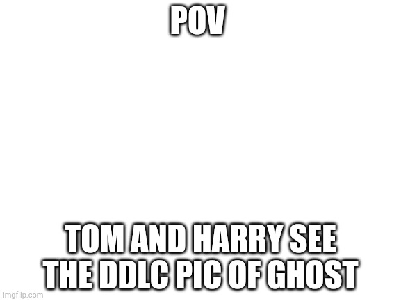 Idfk anymore | POV; TOM AND HARRY SEE THE DDLC PIC OF GHOST | image tagged in blank white template | made w/ Imgflip meme maker