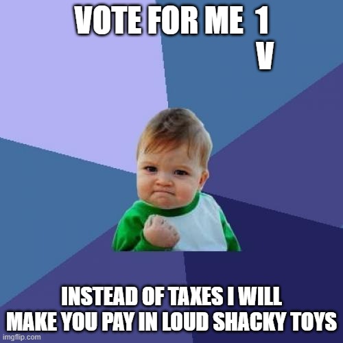 Success Kid | VOTE FOR ME  1
                                  V; INSTEAD OF TAXES I WILL MAKE YOU PAY IN LOUD SHACKY TOYS | image tagged in memes,success kid | made w/ Imgflip meme maker